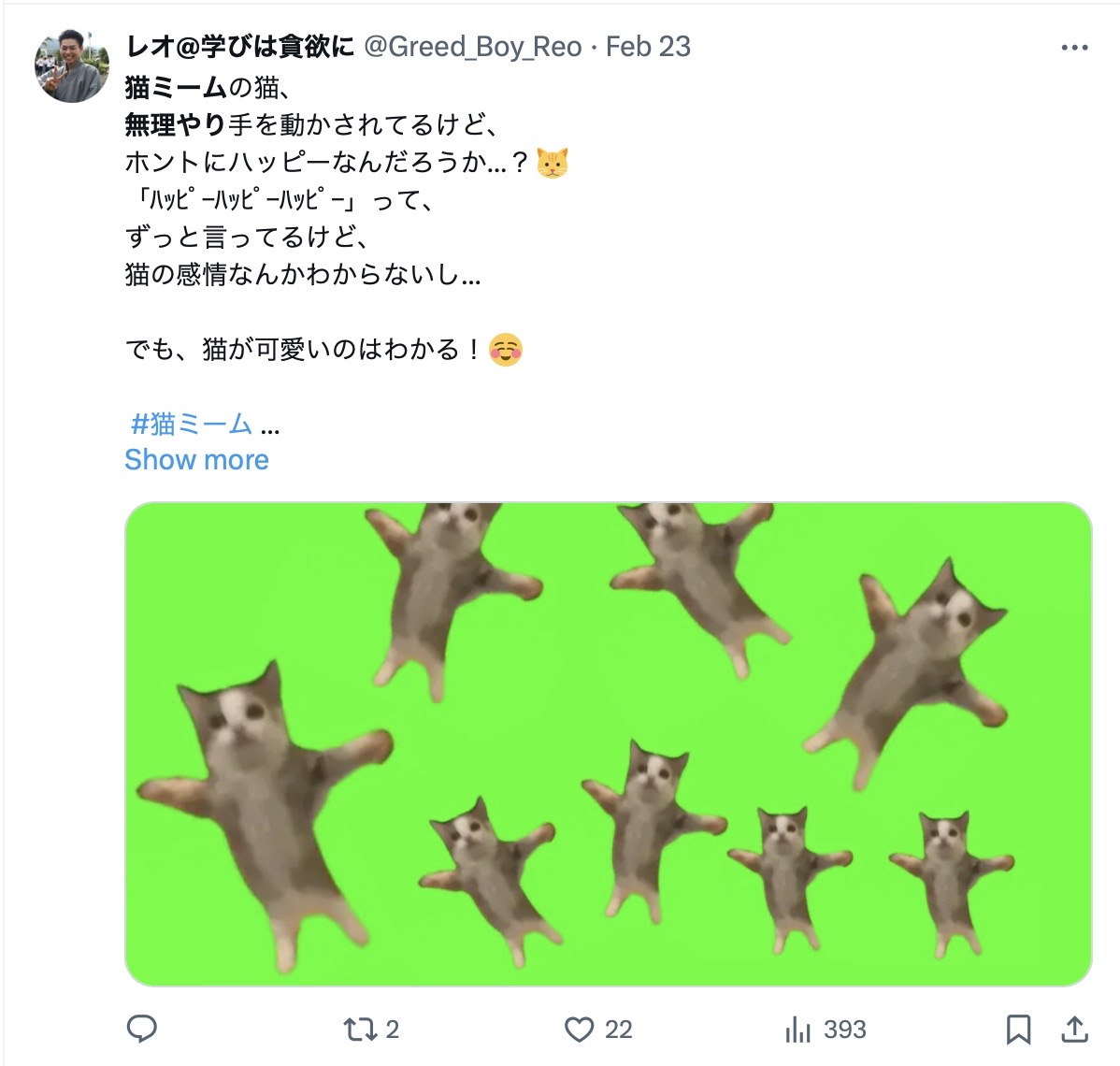 猫ミームがおもしろくない・嫌いな理由7選！気持ち悪いし飽きた？生理的に無理と話題！ ゆいひログ